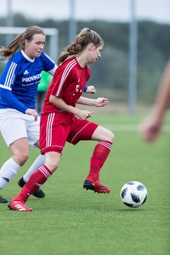 Bild 90 - F FSG Kaltenkirchen - SV Wahlstedt : Ergebnis: 6:1